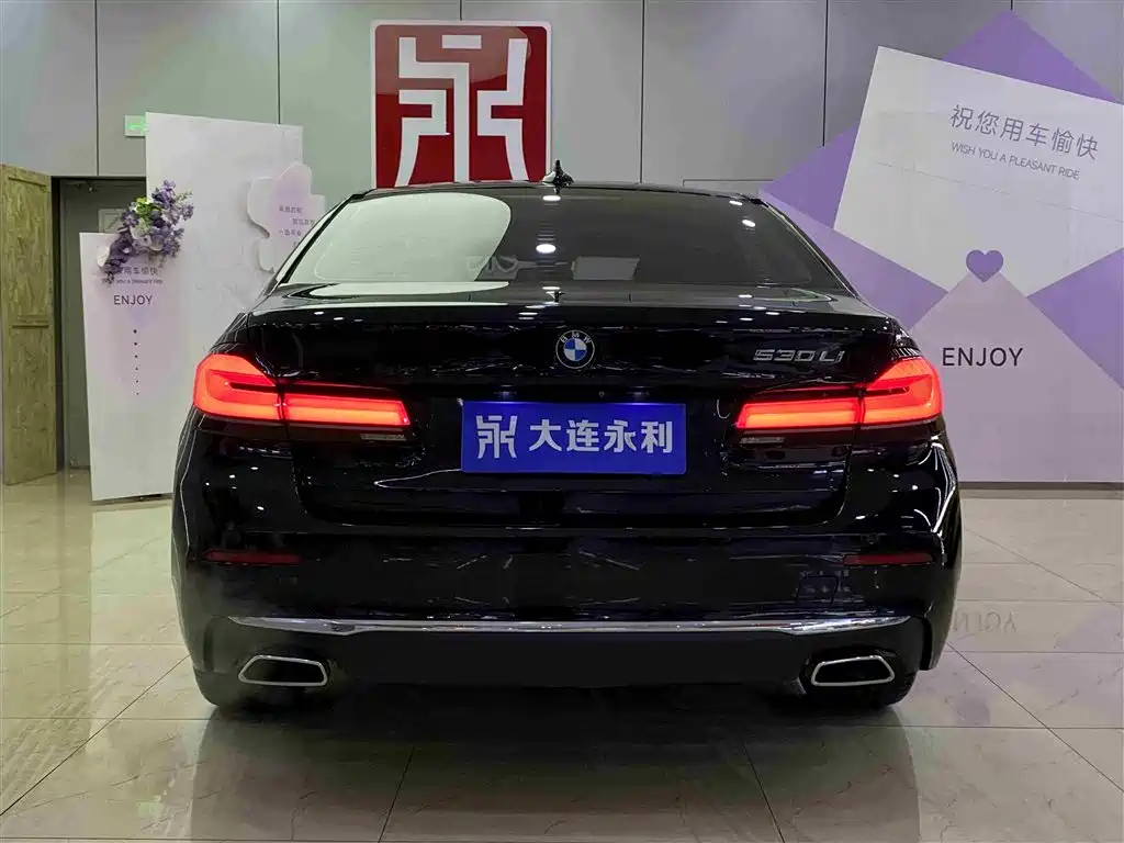 BMW 5 Series 2021 530Li Leading Luxury Package фото 15