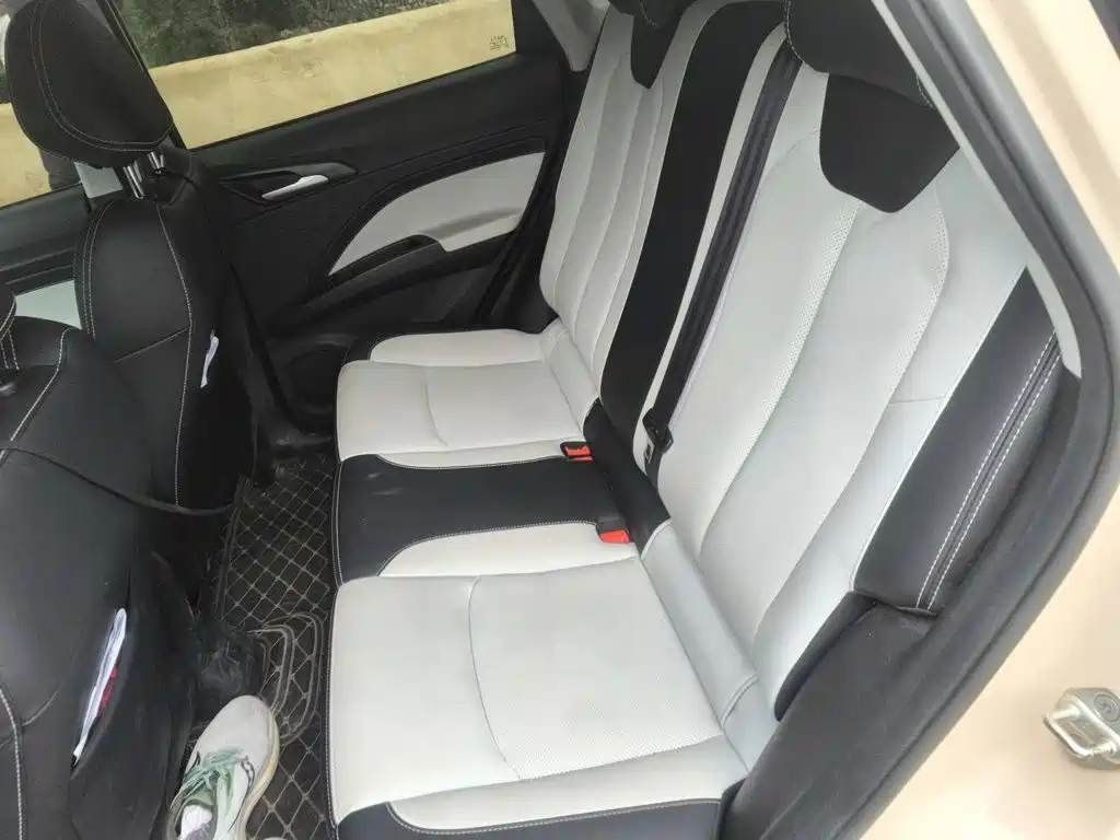 Nezha Auto Nezha AYA 2024 2023 Facelift 401 Lite