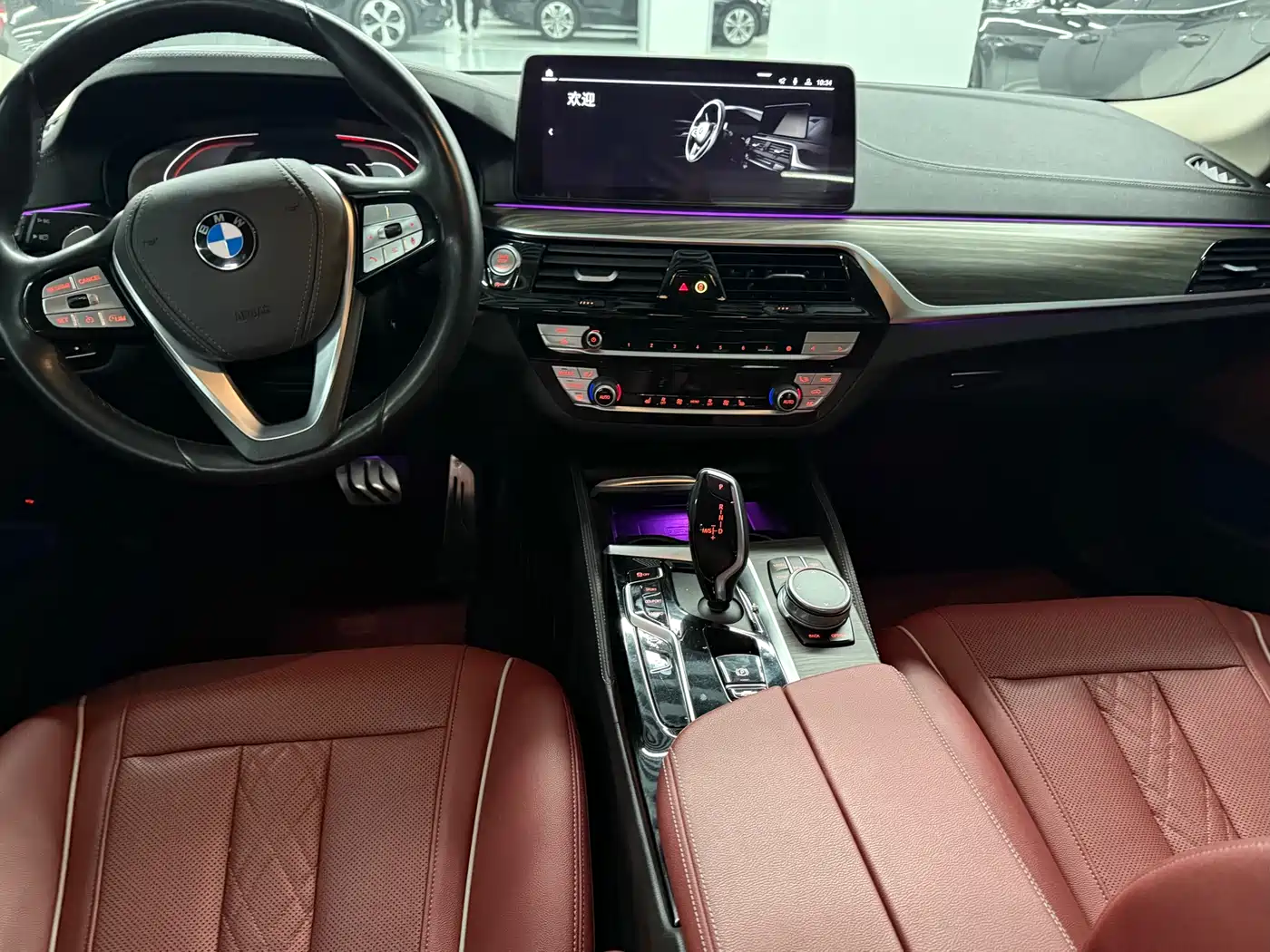 BMW 5 Series 2023 530Li Leading M Sport Package фото 5