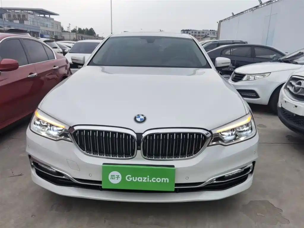 BMW 5 Series 2019 530Li Premium Luxury Package фото 3