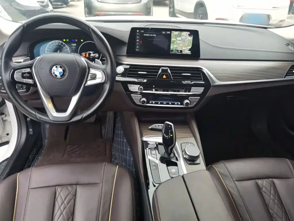 BMW 5 Series 2019 530Li Premium Luxury Package фото 10