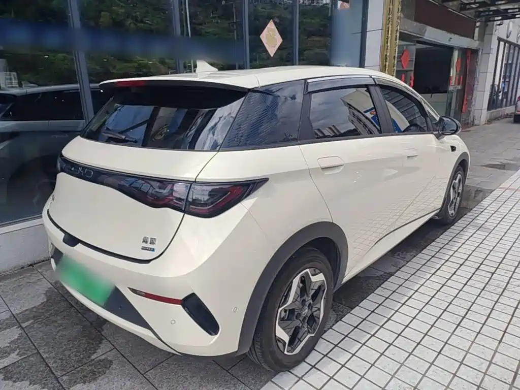 BYD Dolphin 2025 2025 Smart Drive Edition 420km Freedom Version