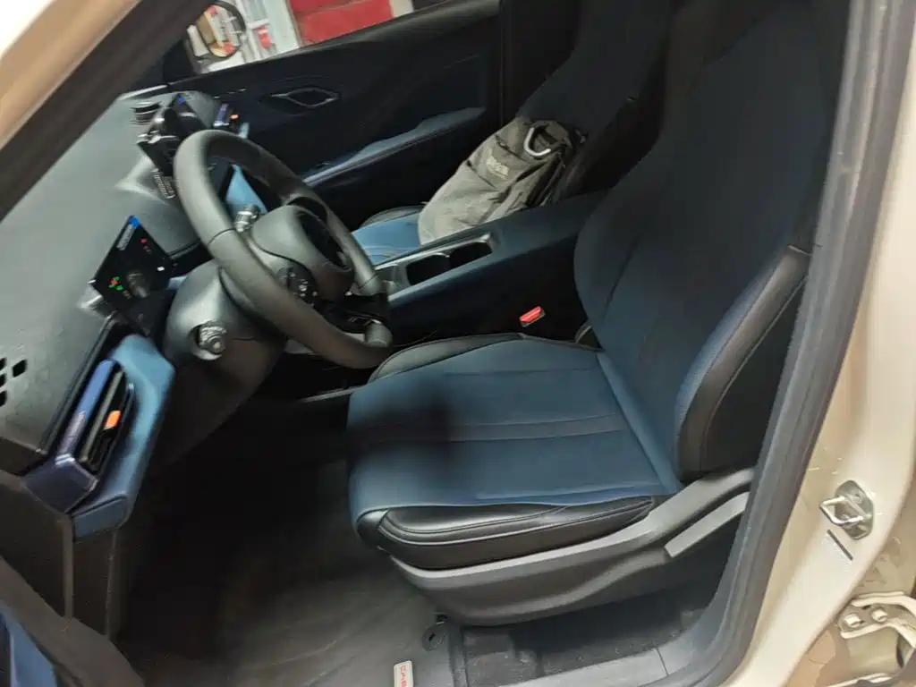 BYD Seagull 2025 2025 305km Vitality