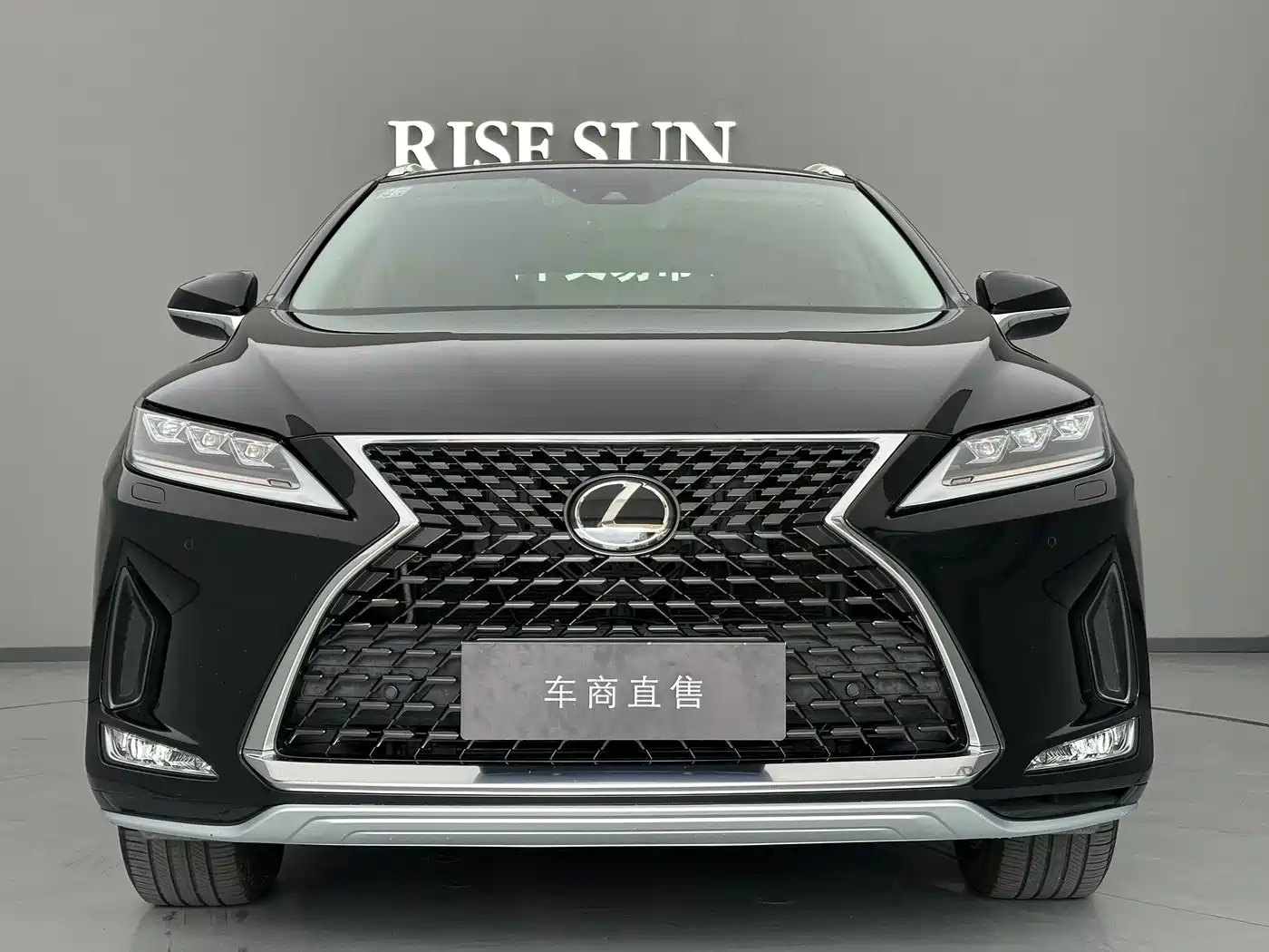 Photo 2 - Lexus RX