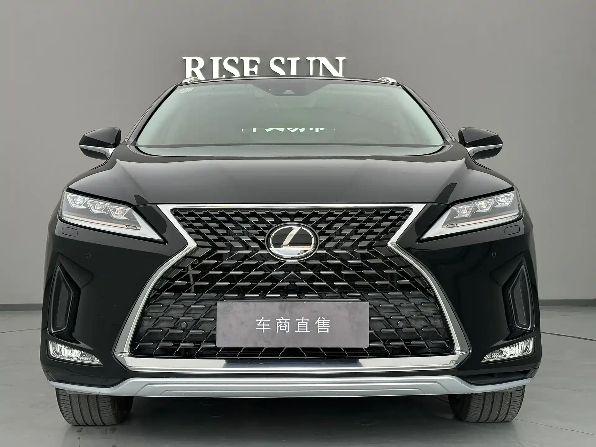 Фото 2 - Lexus RX