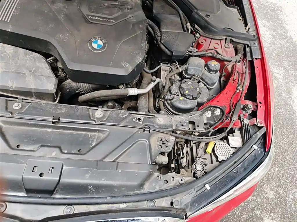 BMW 3 Series 2020 320Li M Sport Package фото 23
