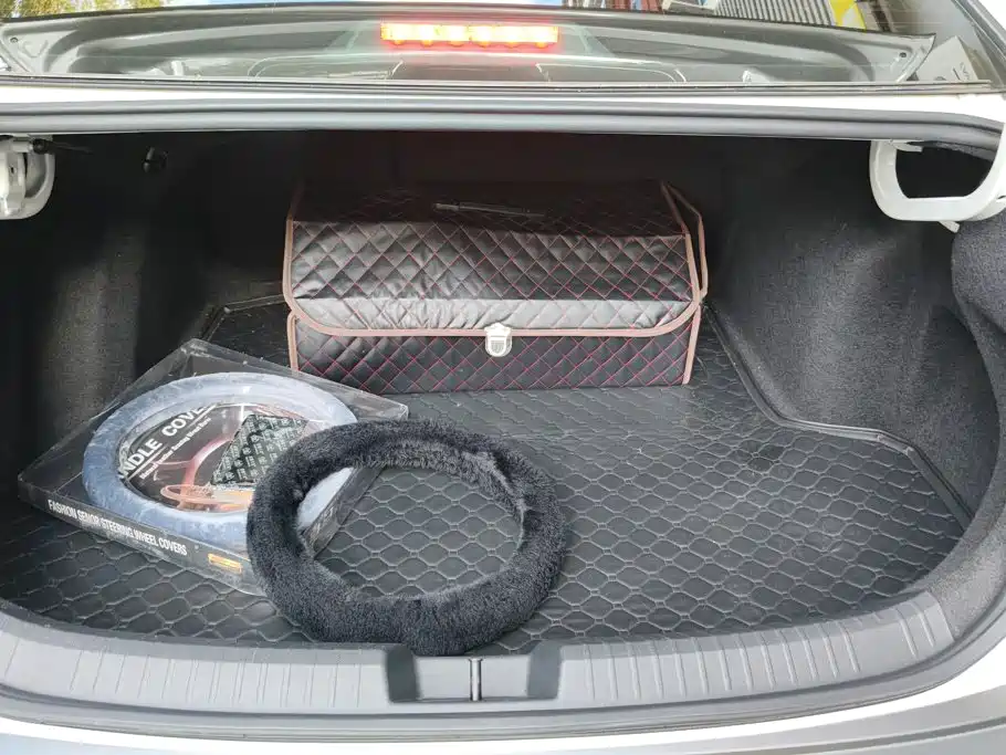 Photo 4 - Volkswagen Sagitar