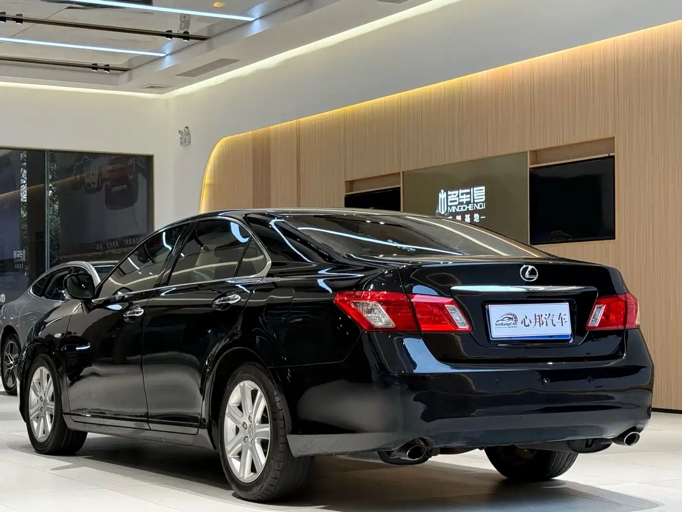 Lexus ES 2010 350 Luxury Edition фото 23
