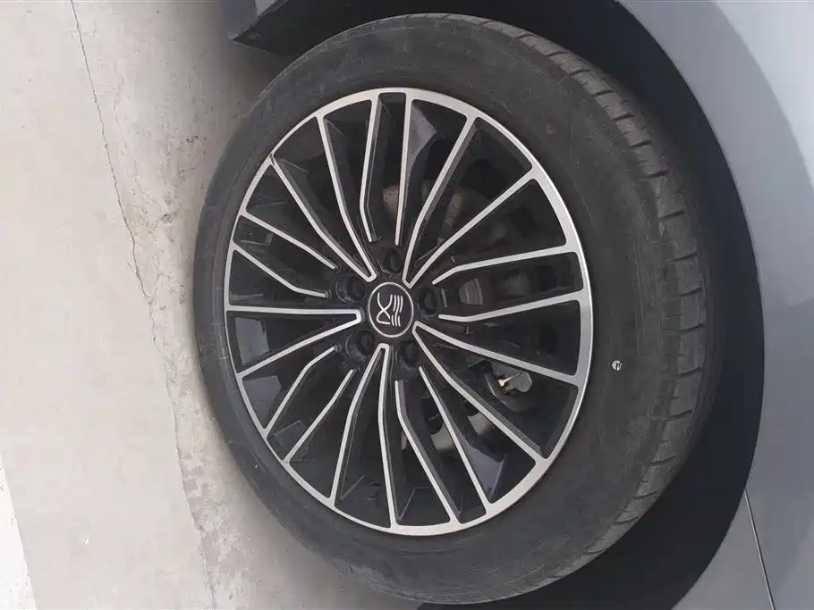 BYD Han 2023 DM-i Champion Edition 121KM Honor фото 6