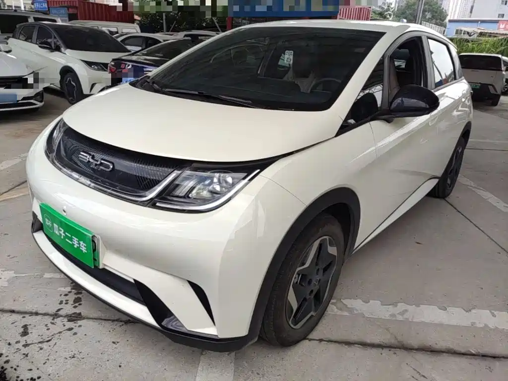 Photo 1 - BYD Dolphin