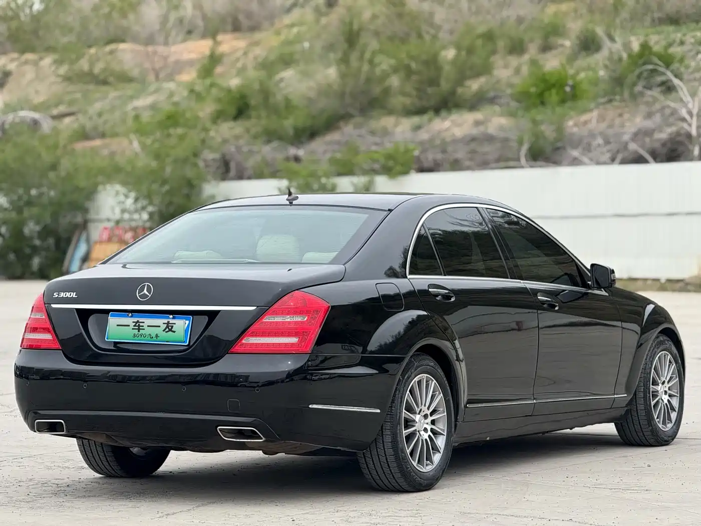 Mercedes-Benz S-Class 2010 S 300 L Business фото 9