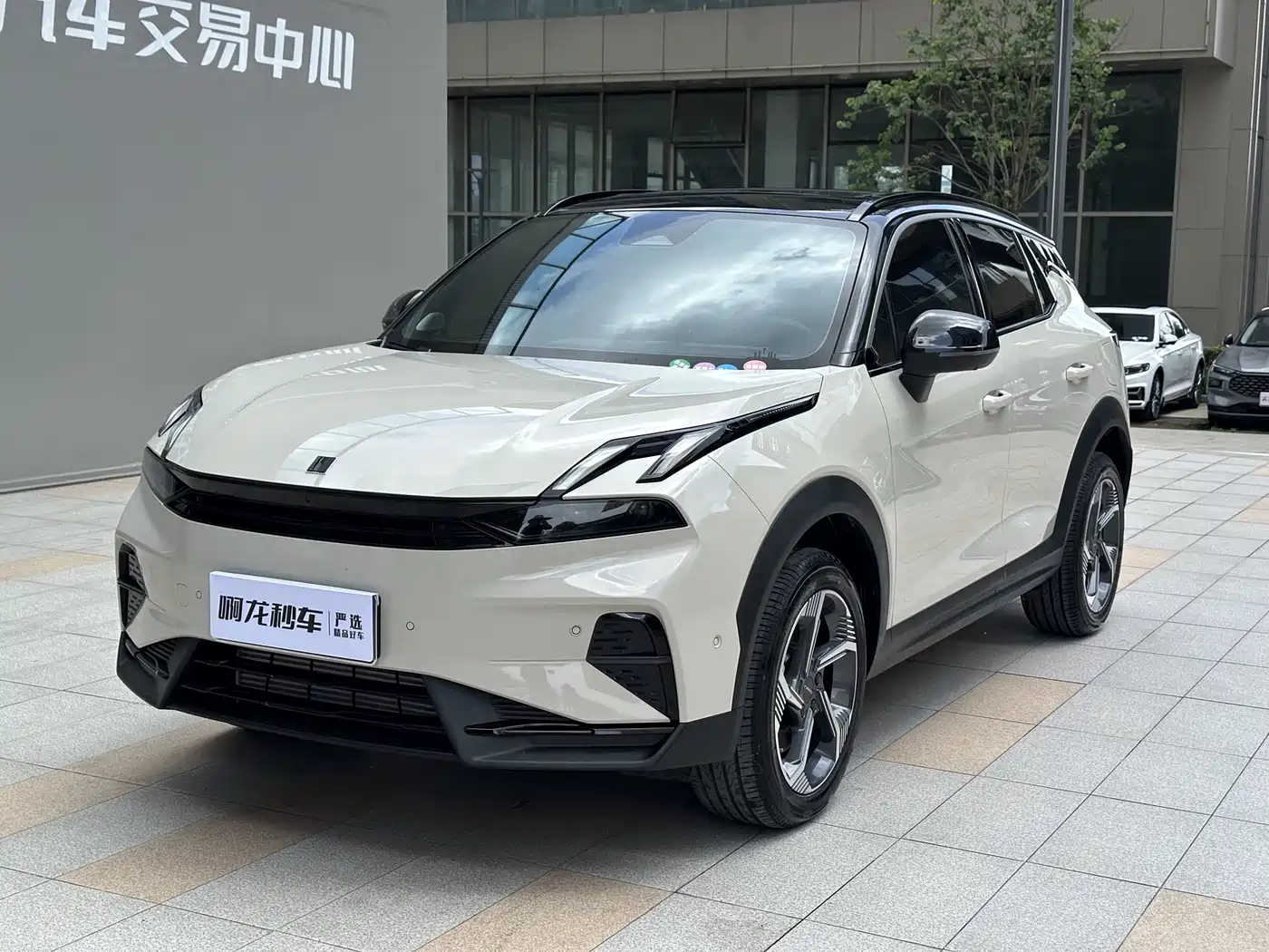 LYNK 06