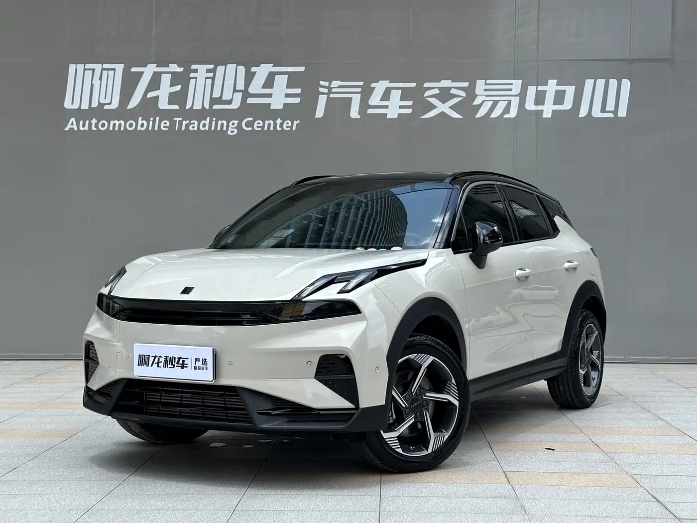 LYNK 06