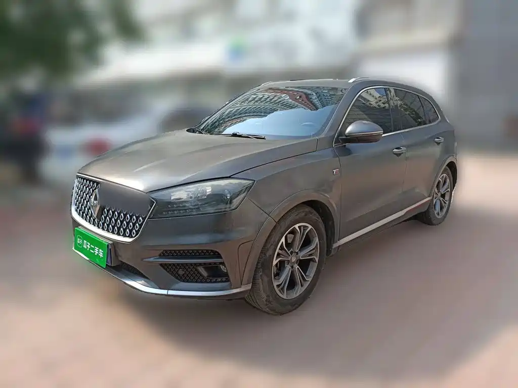 Borgward BX7 2019 2018 2.0T TS AWD Luxury (China V)