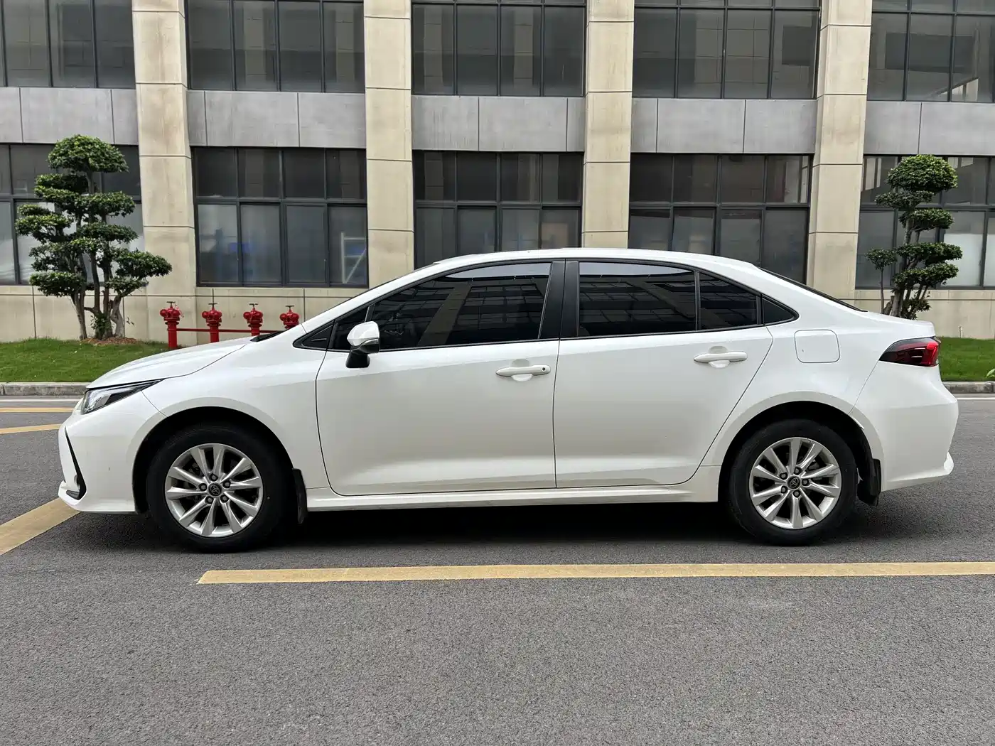 Toyota Corolla 2024 1.2T Elite Edition фото 16