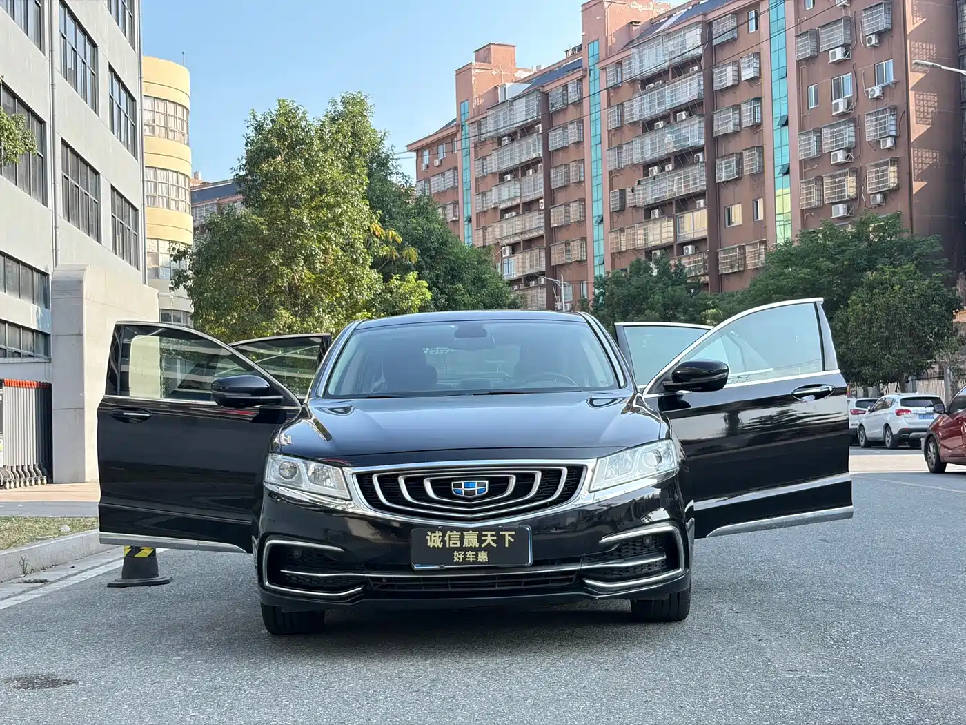 Фото 2 - Geely Borui