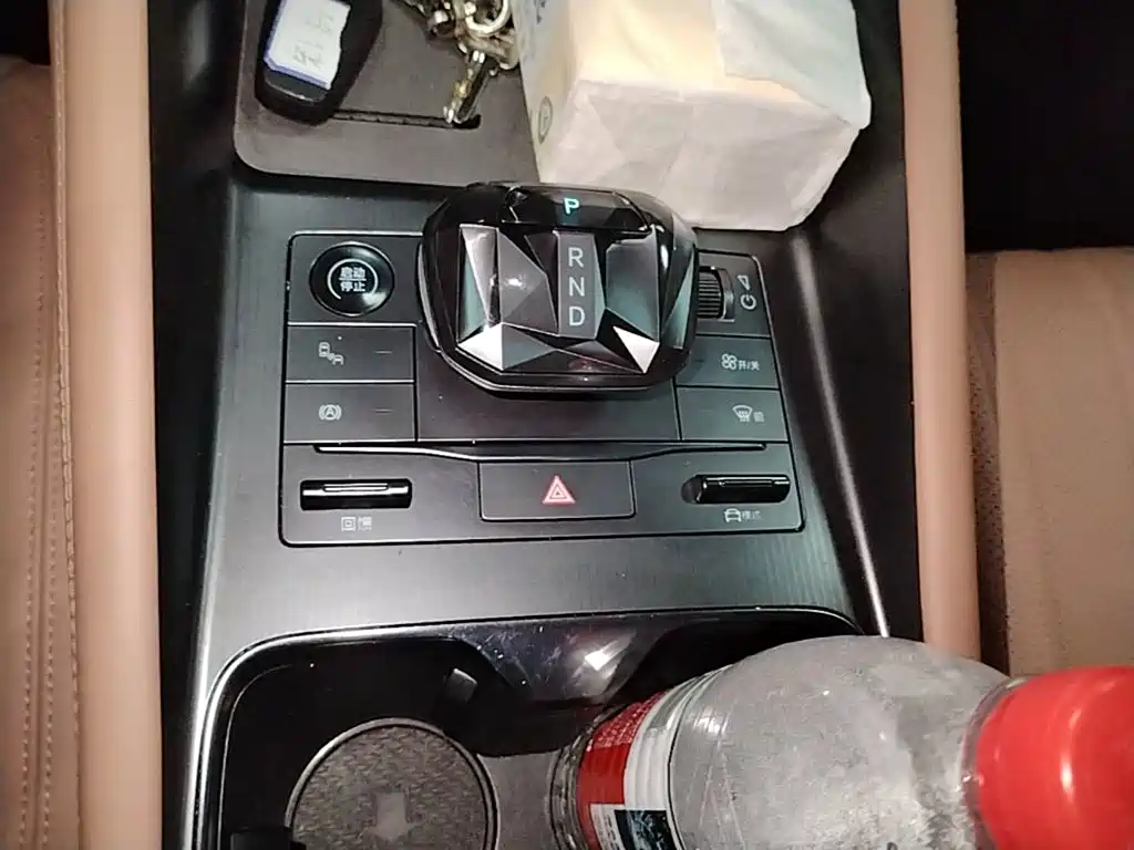 BYD Song L EV 2024 2024 550km Surpassing Type