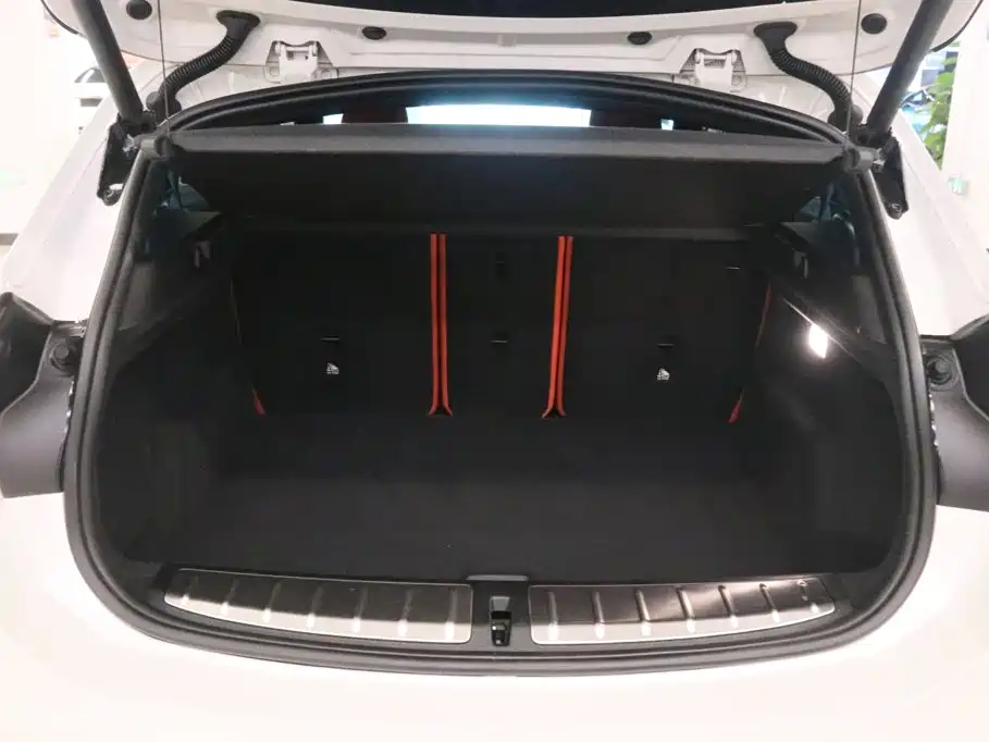 BMW X2 2020 2020 sDrive25i Leading M Off-Road Package