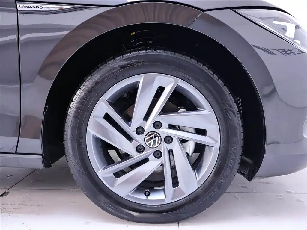 VOLKSWAGEN LINGDU