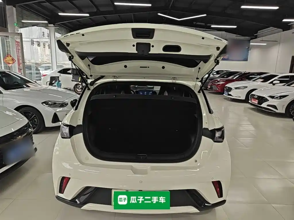 Photo 19 - BYD Dolphin
