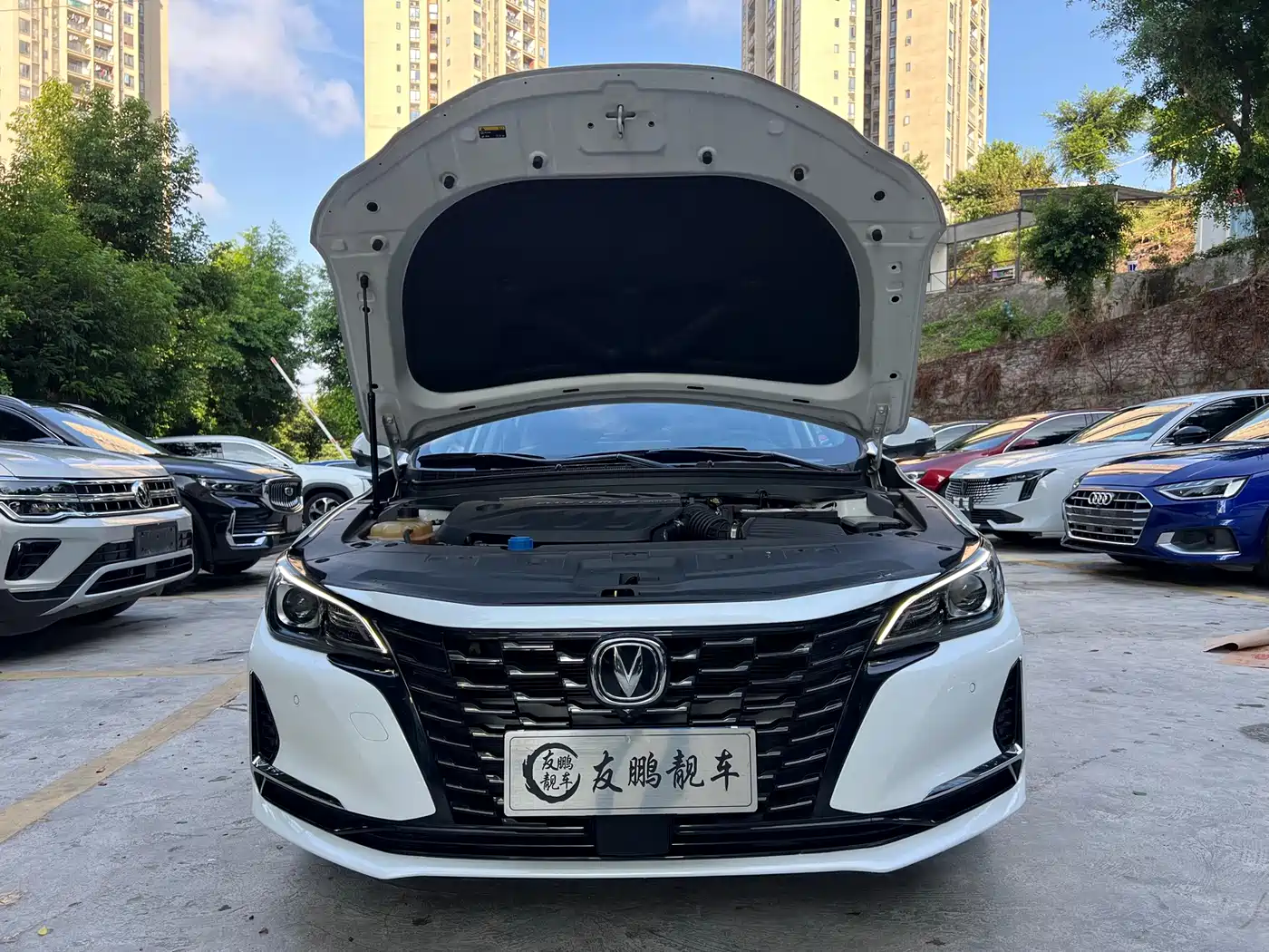 Changan Ruicheng CC 2022 2022 Blue Whale Edition 1.5T DCT Luxury