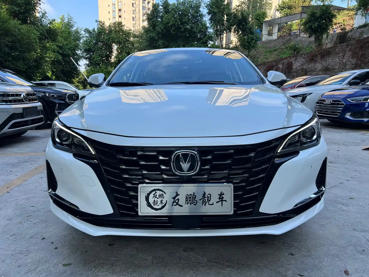 Changan Ruicheng CC 2022 2022 Blue Whale Edition 1.5T DCT Luxury