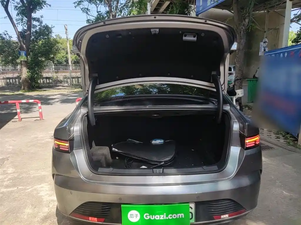 BYD Destroyer 05 2024 Glory Edition DM-i 55KM Luxury фото 19