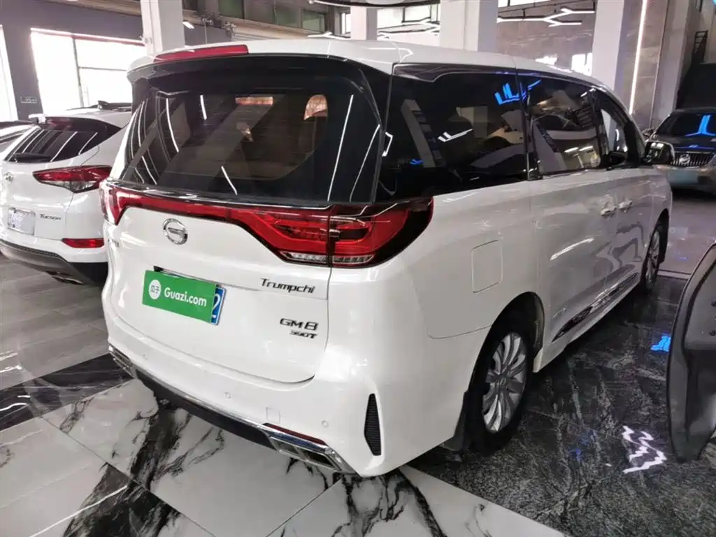 GAC Trumpchi Trumpchi M8 2020 Pilot 390T Luxury Edition фото 7