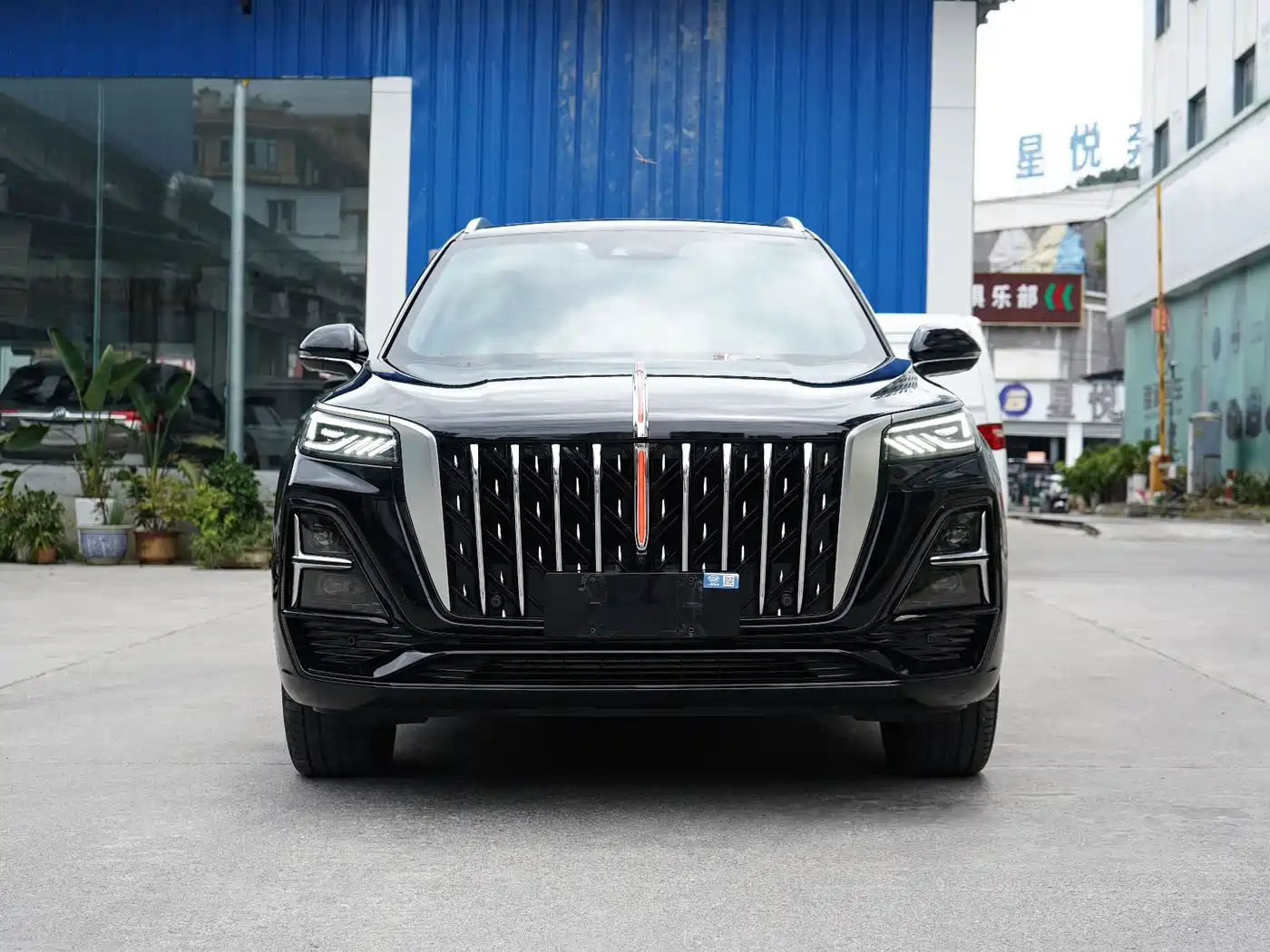 Фото 2 - Hongqi HS5