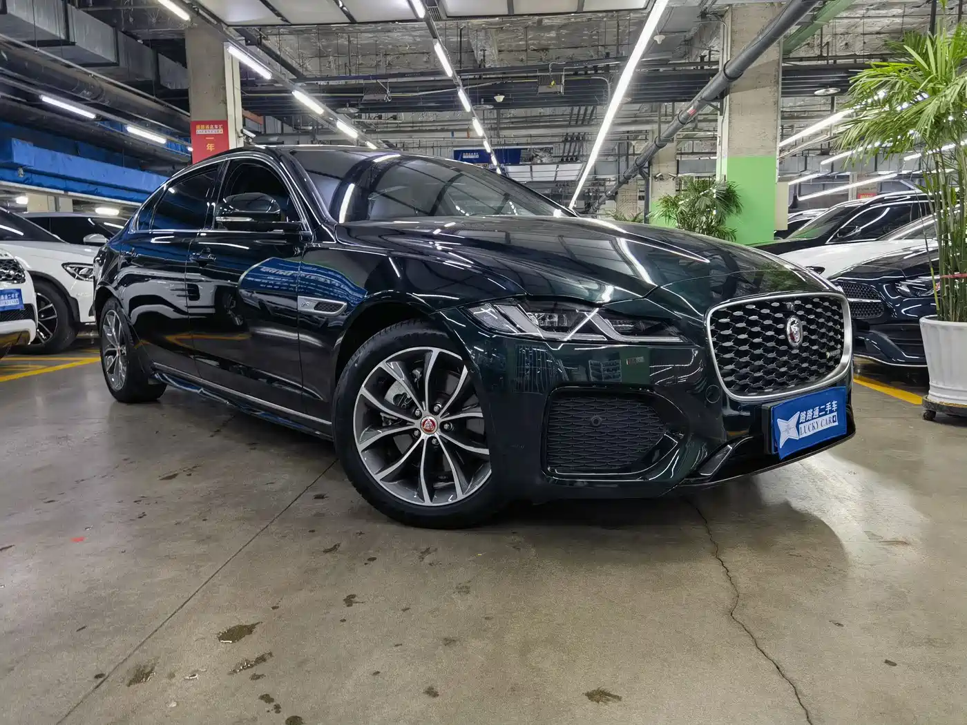 JAGUAR XFL