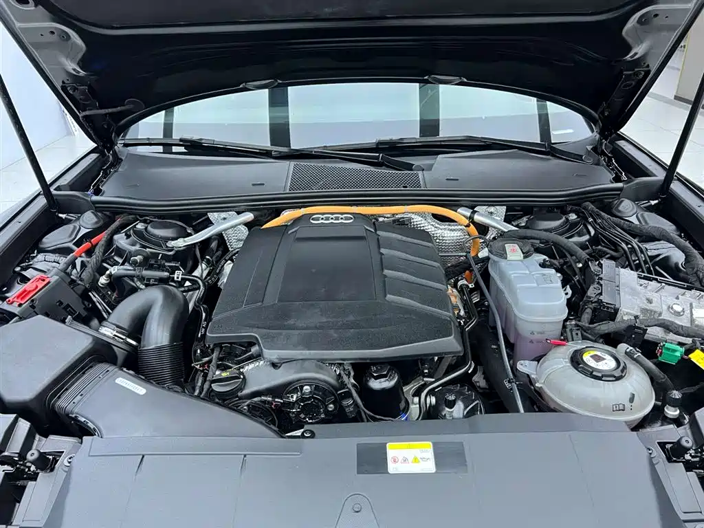Audi Audi A6L New Energy 2022 55 TFSI e quattro 23