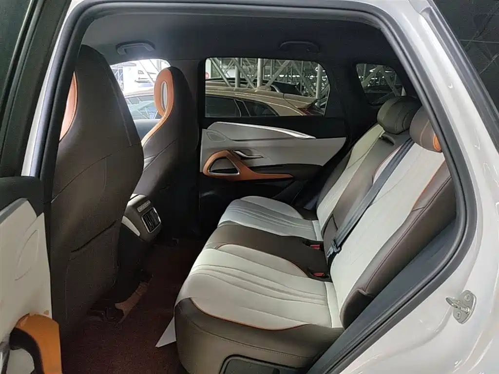 BYD SONGJIANG NEW ENERGY