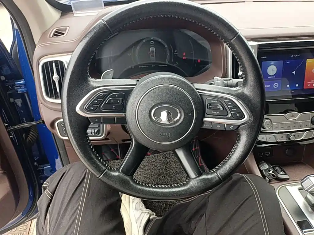 Great Wall Pao 2020 2019 2.0T Automatic Gasoline 4WD Premium Edition GW4C20B