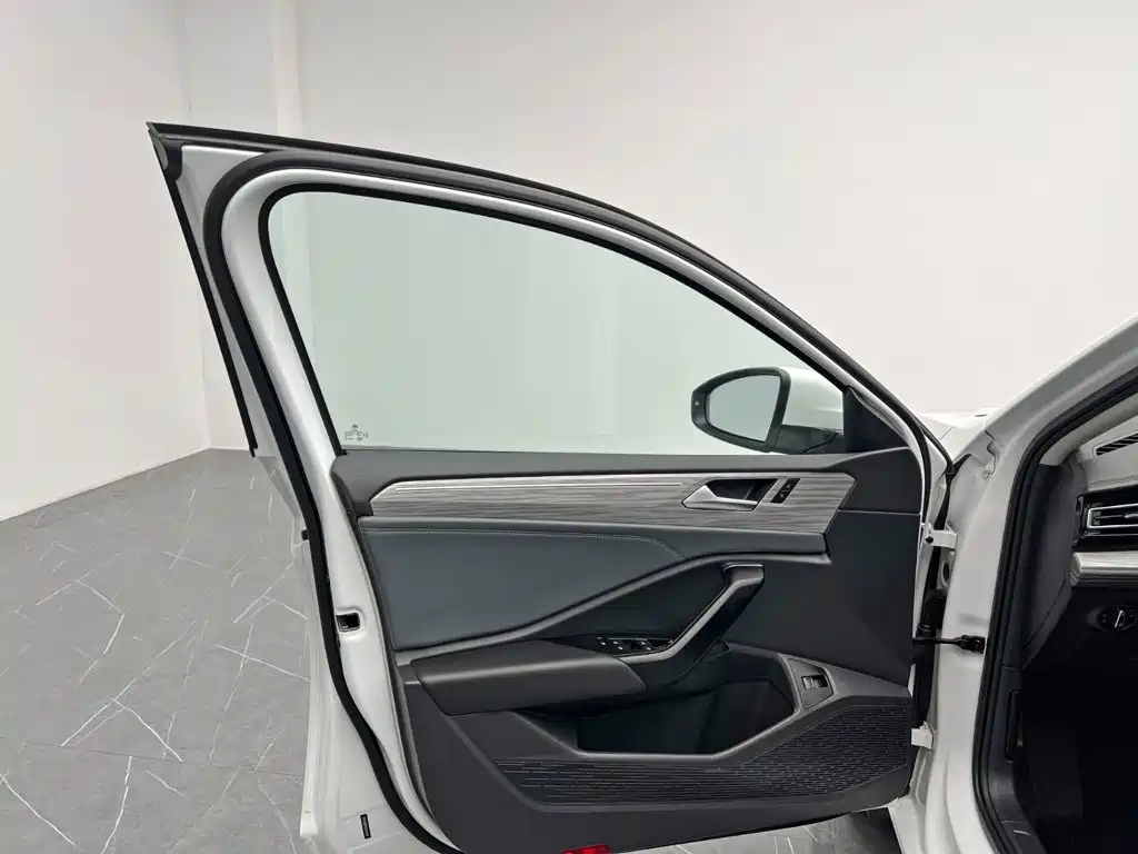 Photo 12 - Volkswagen Sagitar