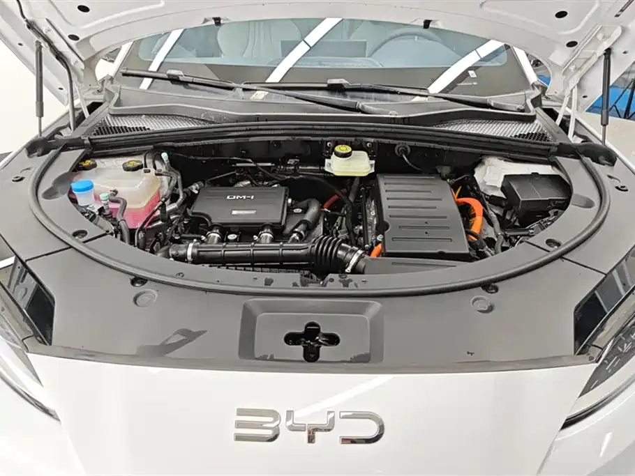 BYD SONGJIANG NEW ENERGY