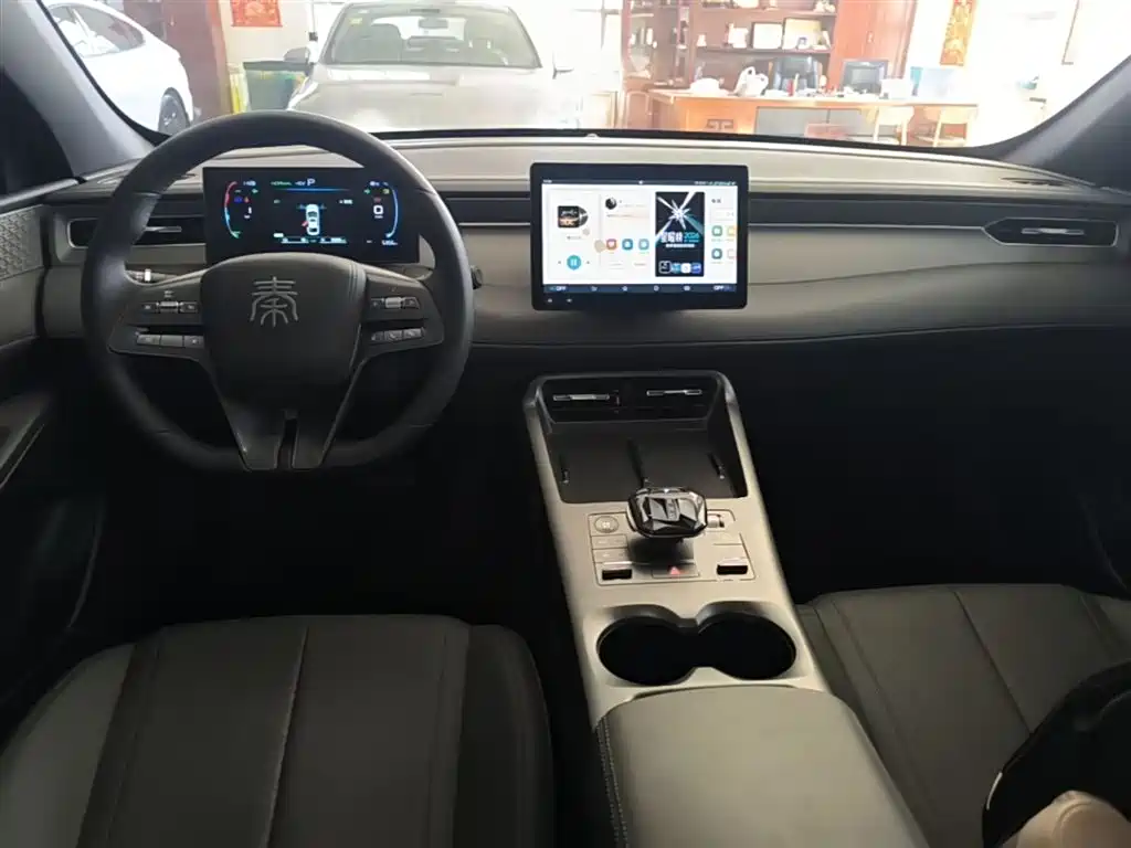 BYD Qin PLUS 2025 DM-i Smart Drive 55KM Leader фото 10
