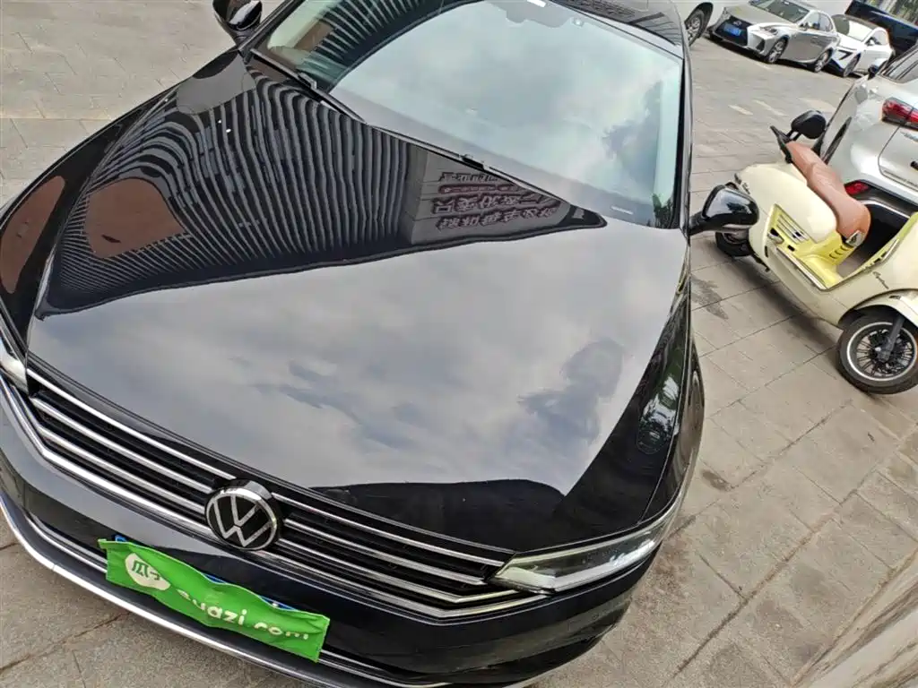 Volkswagen Magotan 2020 330TSI DSG Leading