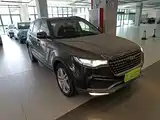Фото 4 - Zotye T700
