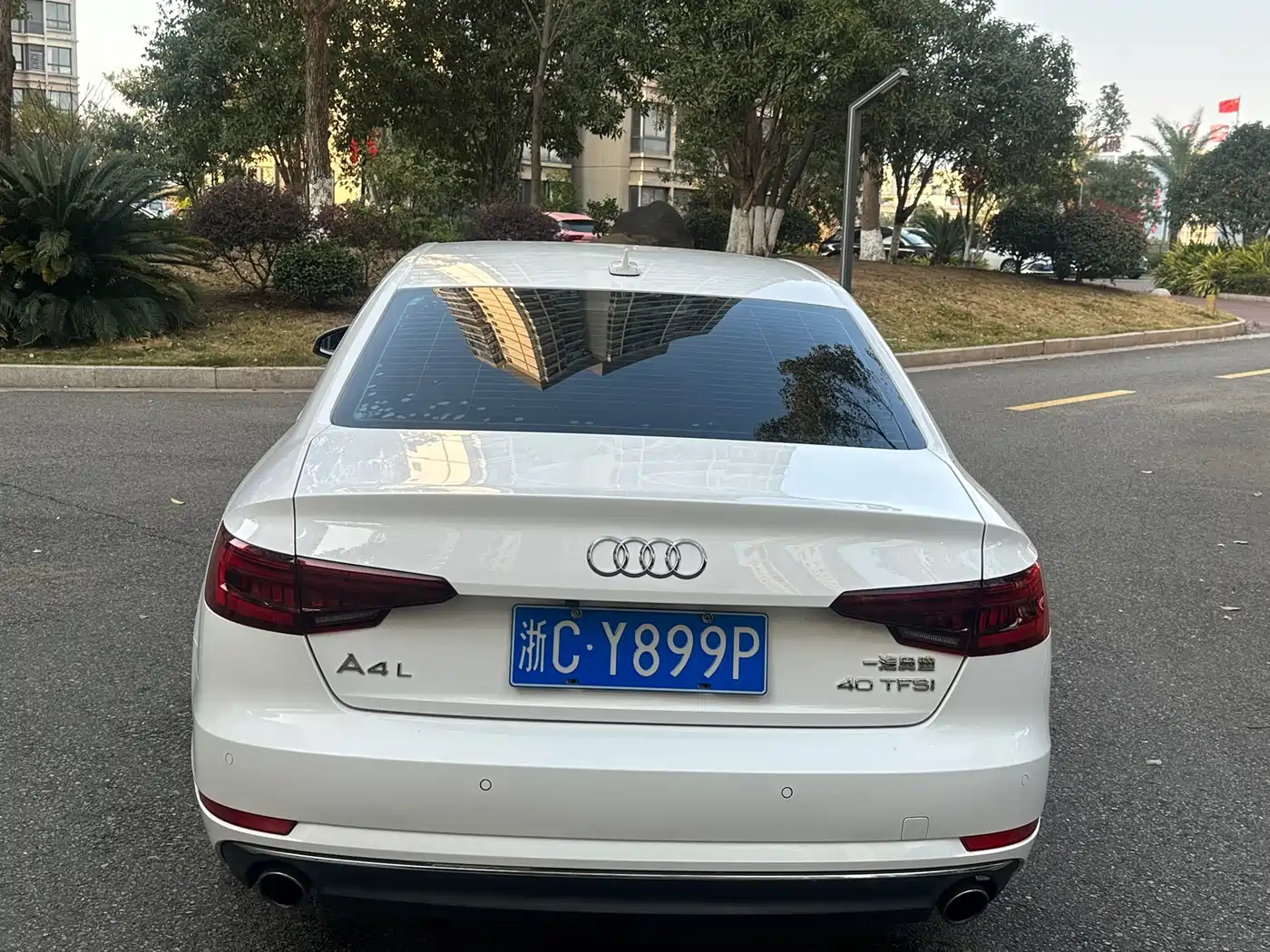 Audi A4L 2018 30th Anniversary 40 TFSI Progressive фото 5