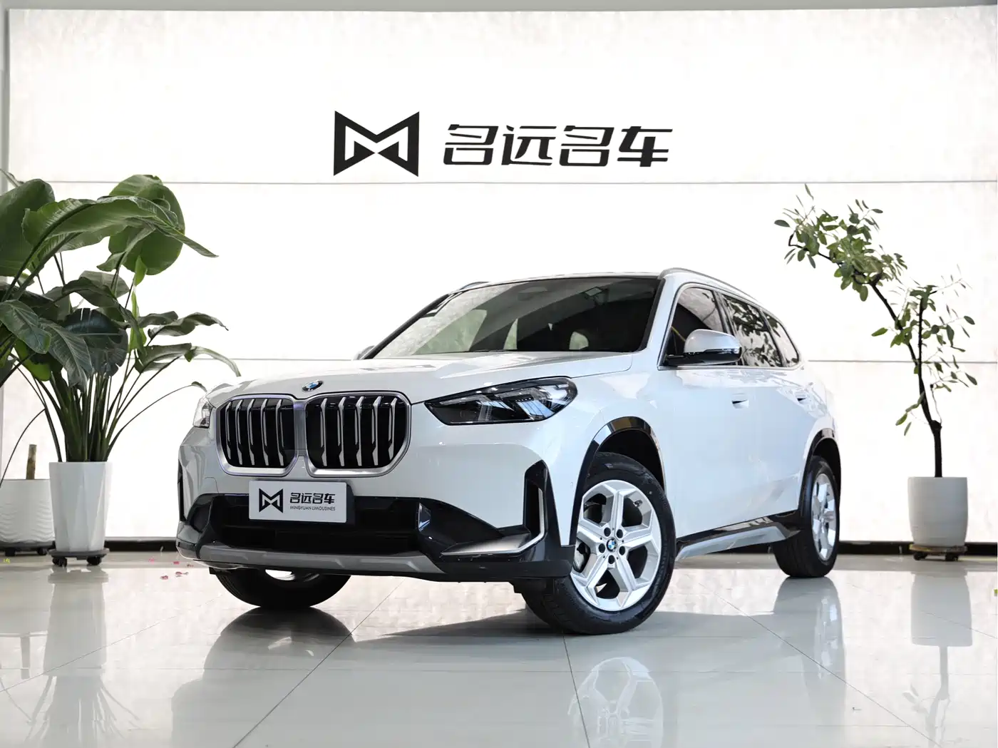 BMW X1 2023 sDrive20Li X Design Package