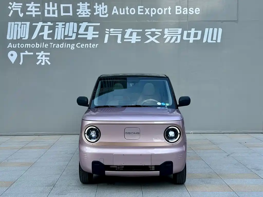 Geely Galaxy Panda 2023 2023 Panda Mini 200km Lively Bear