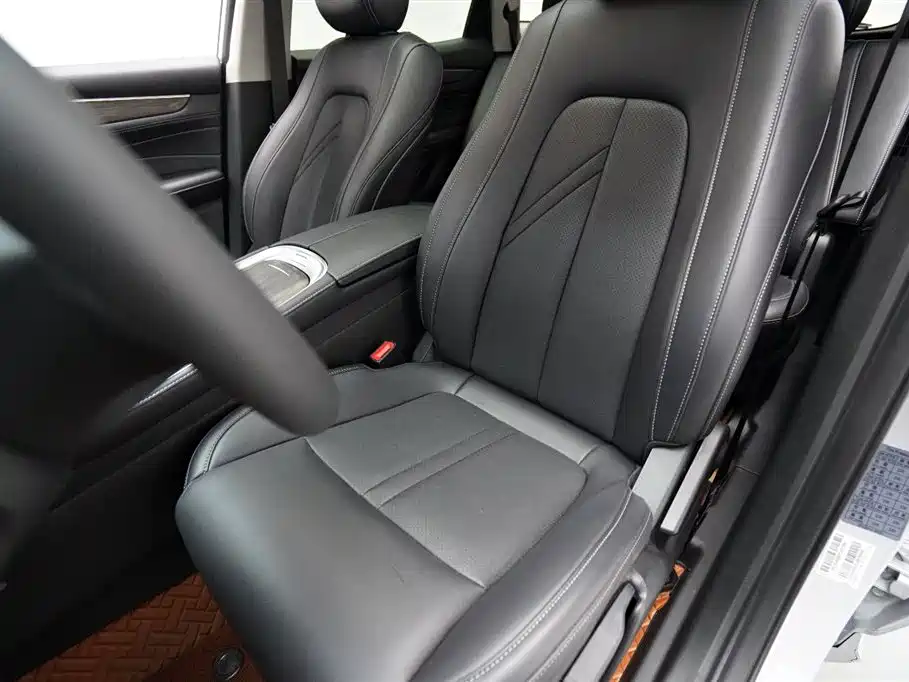 Landian E5 2024 2024 Glory Edition 100KM Comfort Type 7-Seater