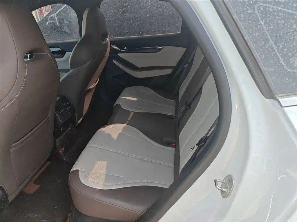 BYD Qin PLUS 2024 Glory Edition DM-i 55KM Leading фото 13