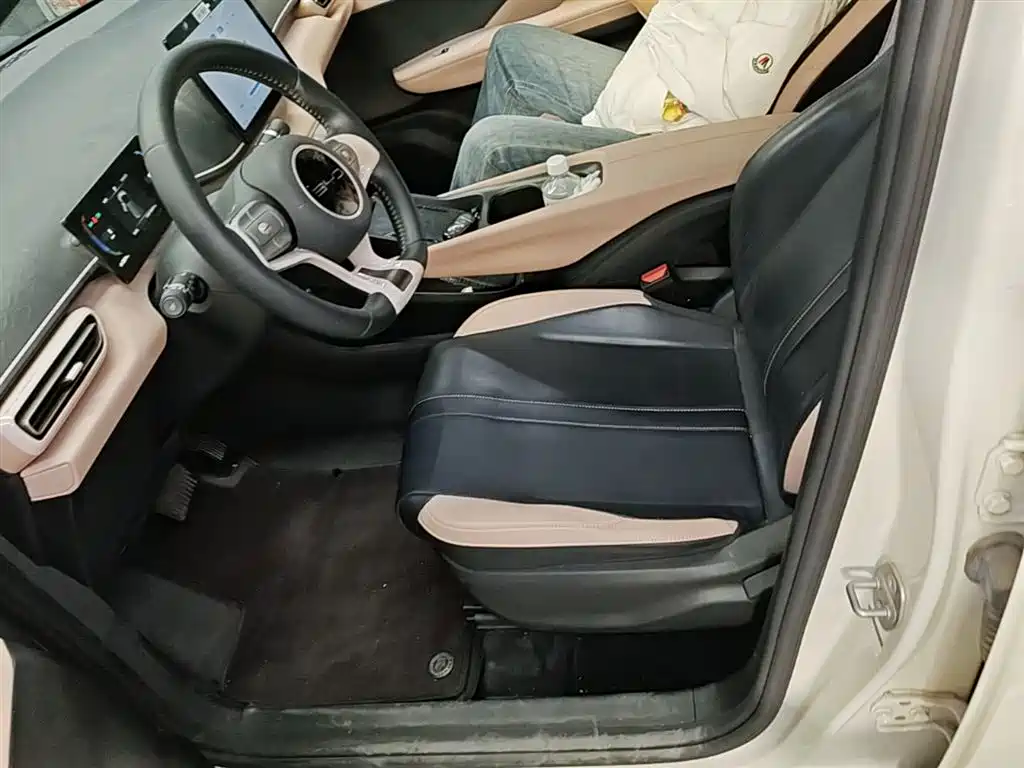 BYD Seagull 2023 Freedom Edition фото 15