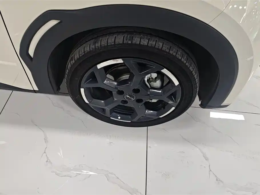 BYD Seagull 2024 Glory Edition 405km Soaring Edition фото 6