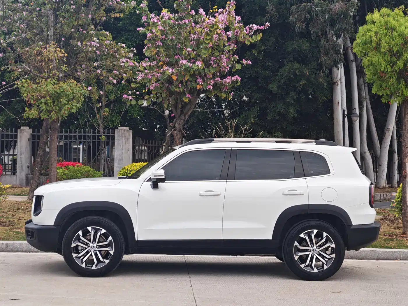HAVAL BIG DOG