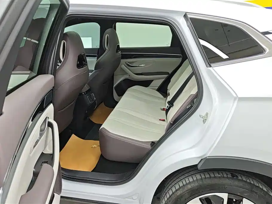 BYD SONGJIANG NEW ENERGY