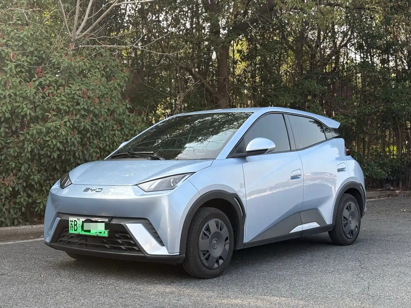BYD Seagull 2024 Glory Edition 305km Vitality Edition