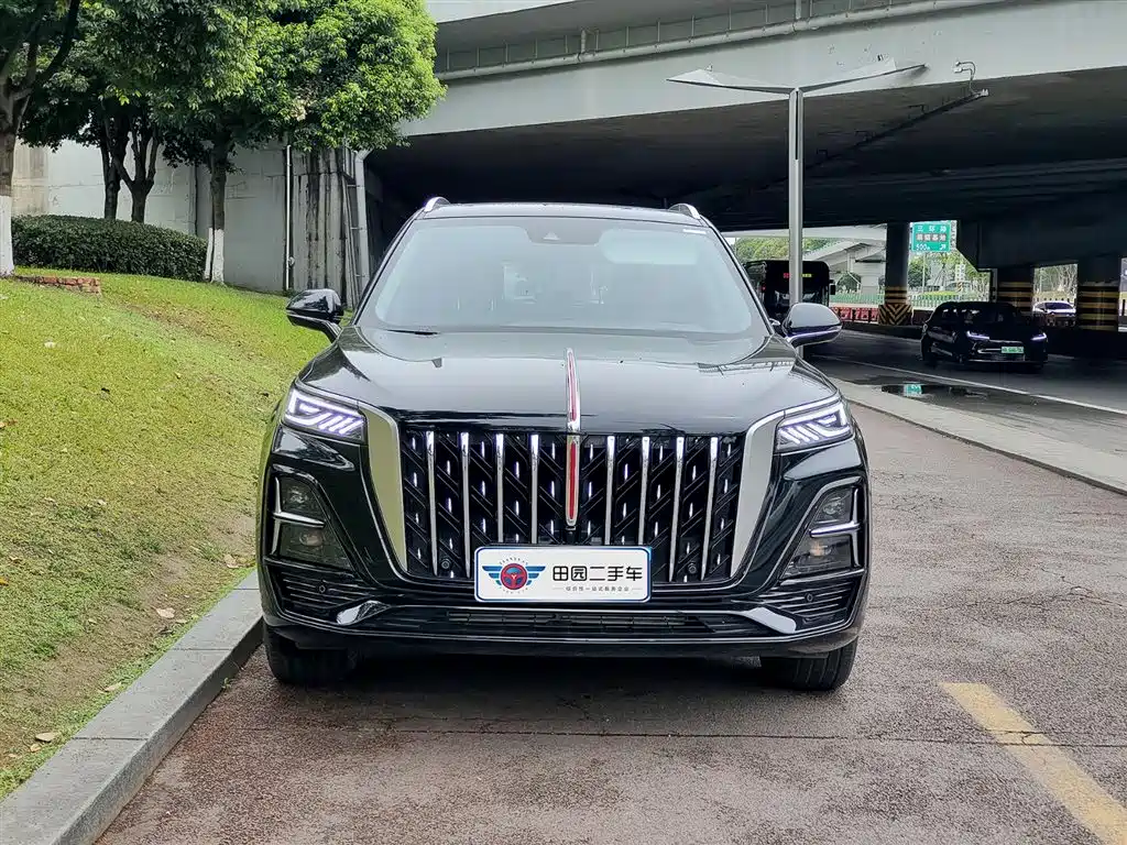 Hongqi HS5 2025 2.0T 4WD Qixiang Pro фото 2