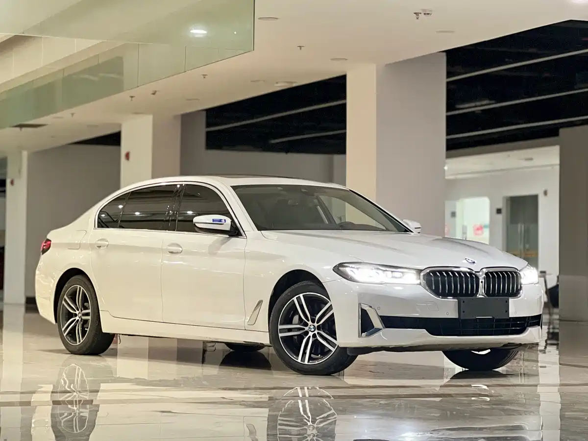 BMW 5 Series 2021 530Li Leading Luxury Package фото 3